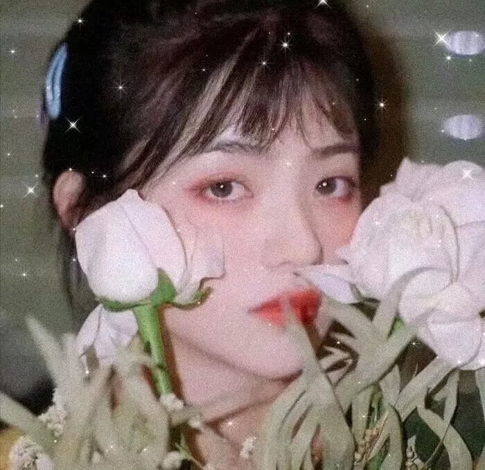 八美图